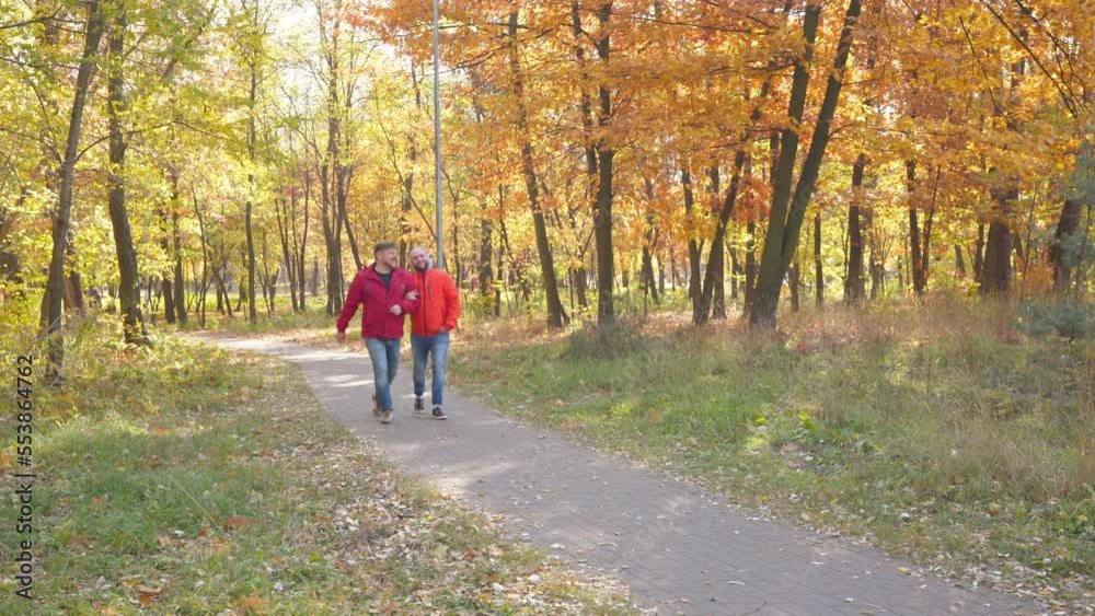 Wide shot satisfied happy gay couple walking arm in arm on sunny park alley talking. Cheerful Caucasian LGBT men holding hands strolling outdoors on autumn day dating Wide shot satisfied happy gay couple walking arm in arm on sunny park alley talking. Cheerful Caucasian LGBT men holding hands strolling outdoors on autumn day dating