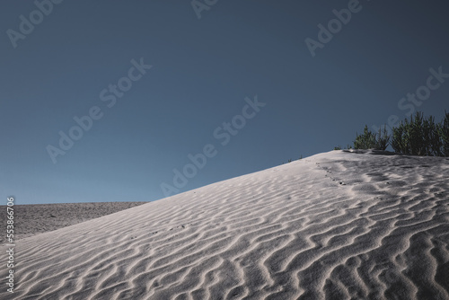 Fuerteventura, Panorama, Wüste, Sand, Sandhügel, Sanddüne, Dunas de Corralejo, Playa de los Mojos, Parque Natural de Corralejo