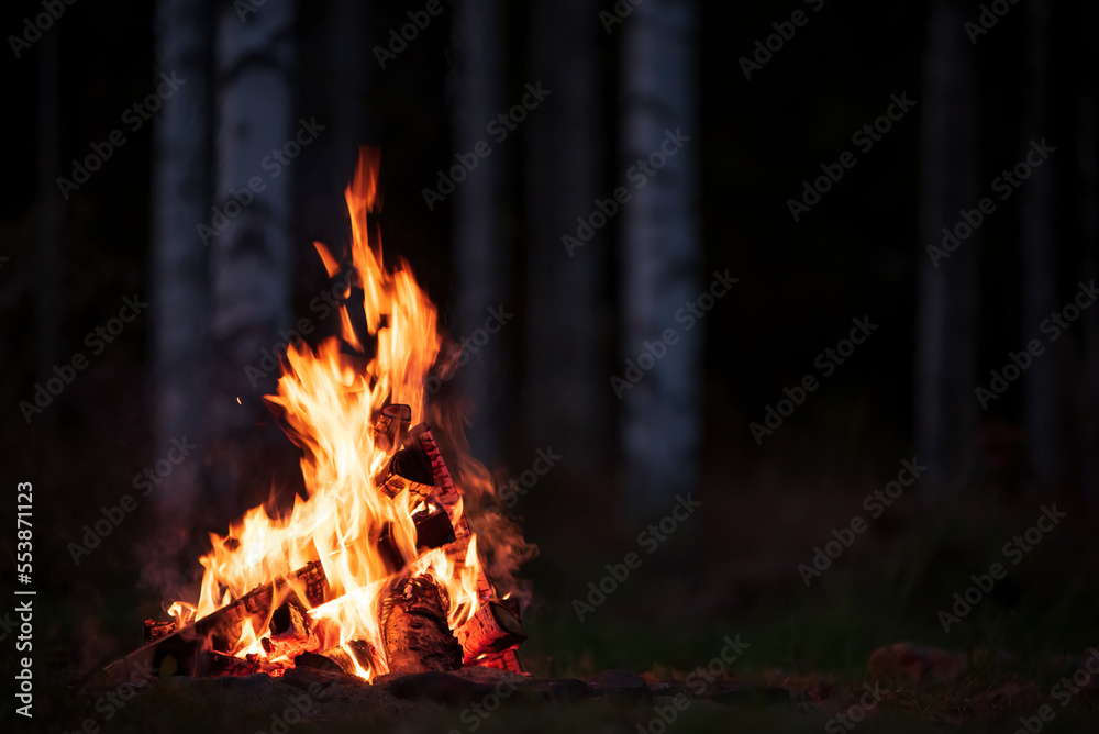 Burning campfire on a dark night in a forest. Burning campfire on a dark night in a forest.