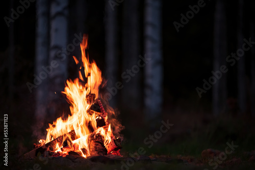 Burning campfire on a dark night in a forest.