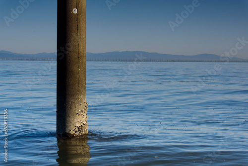 海中の電柱 © T.shigeishi