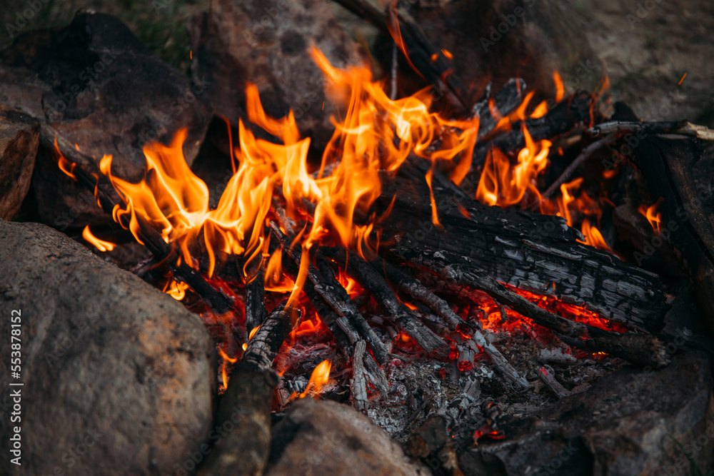 fire in the forest fire in the forest