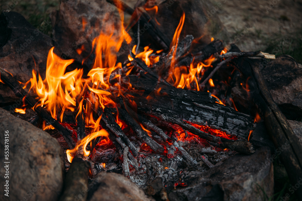 fire in the forest. Flame. Fire. fire in the forest. Flame. Fire.