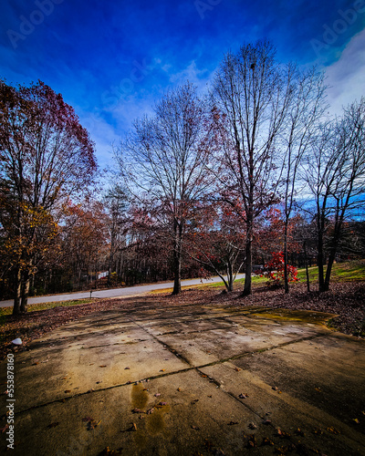 autumn in the park