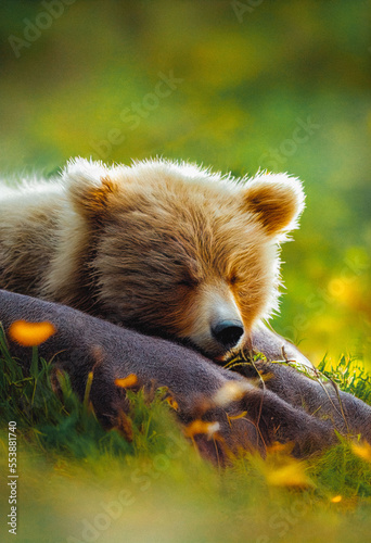 Sleeping Bear