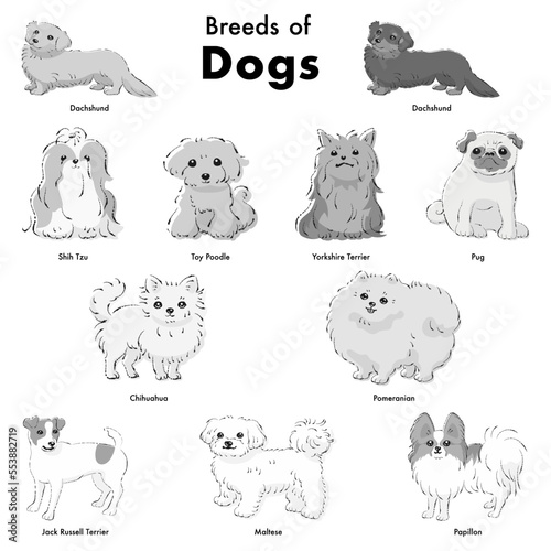 シンプルでかわいい人気の小型犬種 手描き線画ベクターイラストセット