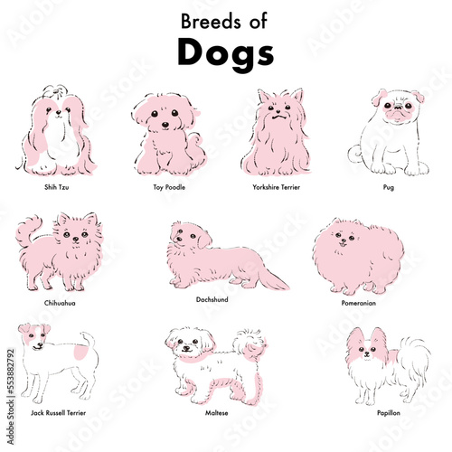 シンプルでかわいい人気の小型犬種　手描き線画ベクターイラストセット
