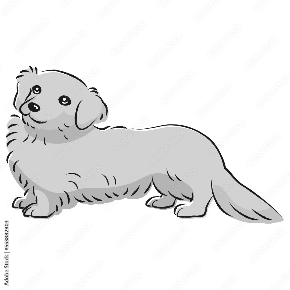 Fototapeta premium シンプルでかわいいミニチュアダックスフント 手描き線画ベクターイラスト