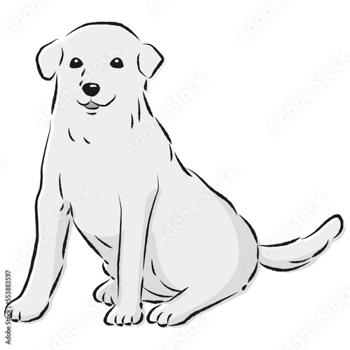 シンプルでかわいいラブラドールレトリバー　手描き線画ベクターイラスト