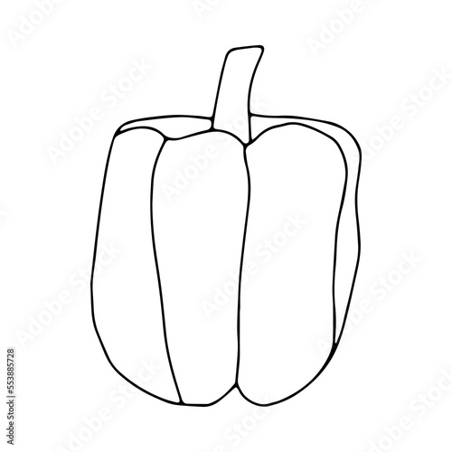 A simple doodle illustration of bright juicy sweet pepper. Sweet Bulgarian pepper.