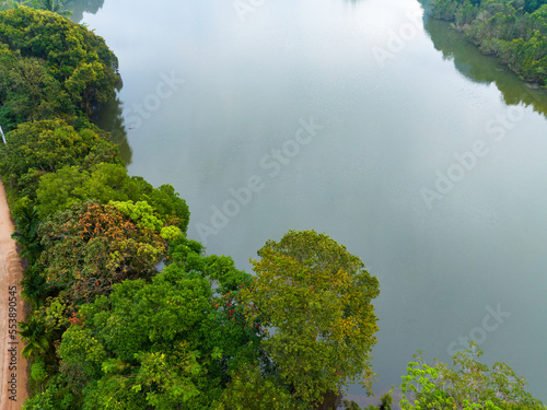 Aerial top view of green summer forest trees with green lake  Rural landscape in Thailand  Drone photography from above
