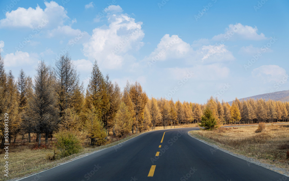 Country road with blue sky in the autumn Country road with blue sky in the autumn