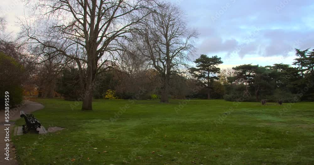 Shot of empty jogging path beside green grass with trees in Greenwich Park during dry autumn morning in London, UK afternoon time. Shot of empty jogging path beside green grass with trees in Greenwich Park during dry autumn morning in London, UK afternoon time.