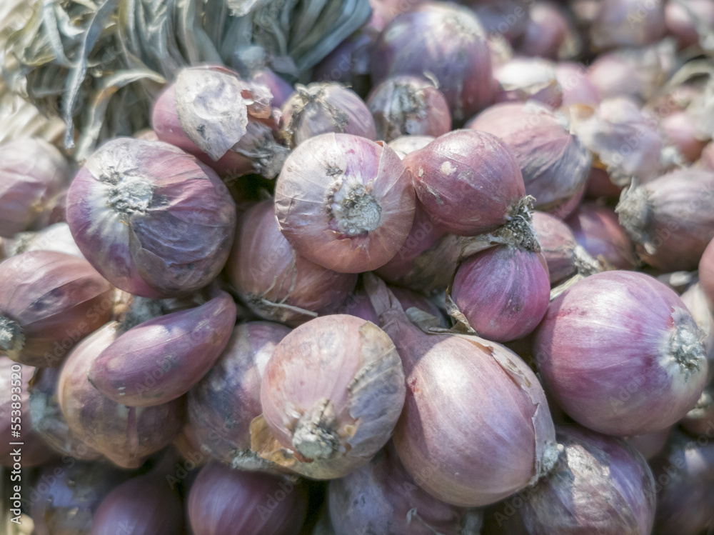 Onions in the market