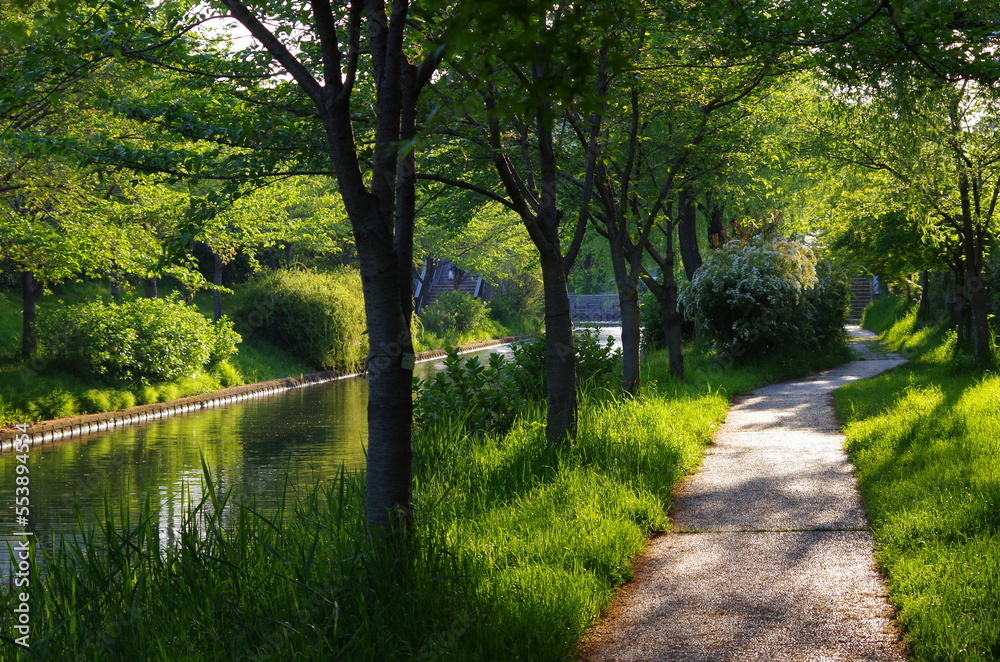 Fototapeta premium 風景