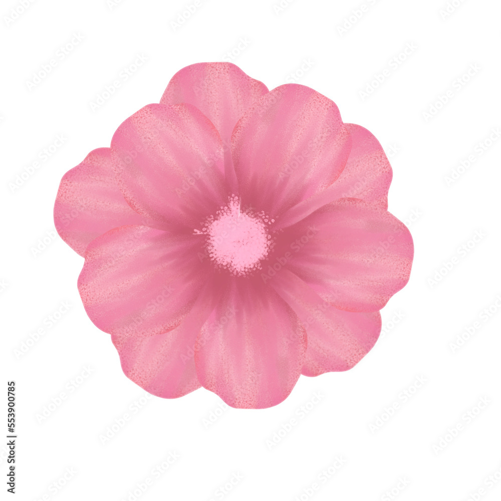 Illustration png of flower. Suitable for design of invitation, wedding, party, birthday, stiker, etc Illustration png of flower. Suitable for design of invitation, wedding, party, birthday, stiker, etc