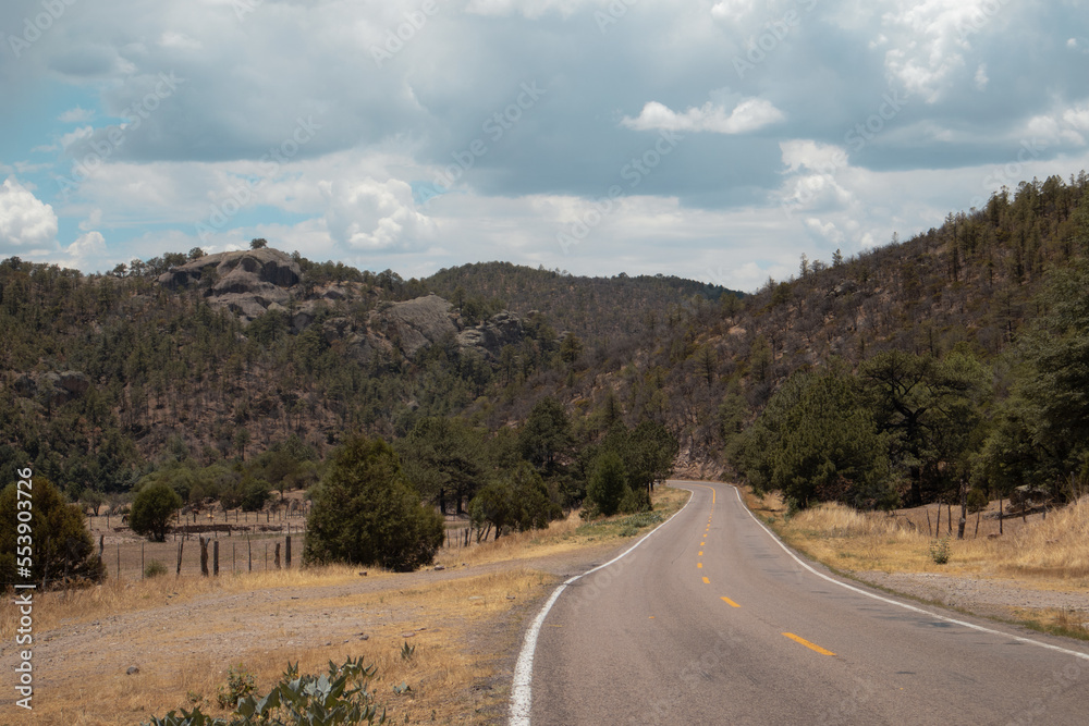 Camino de sierra en Chihuahua México de vacaciones, viaje en el bosque 