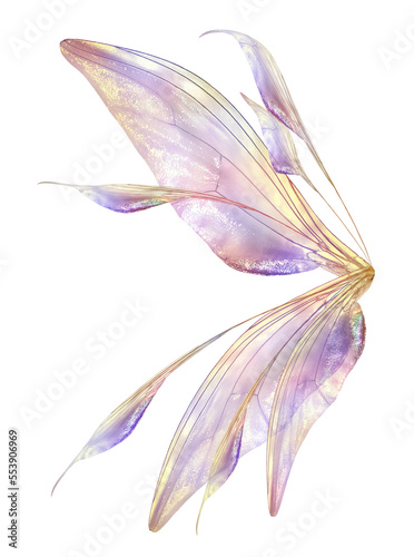 Obraz na płótnie Png fairy wing overlay by ATP Textures