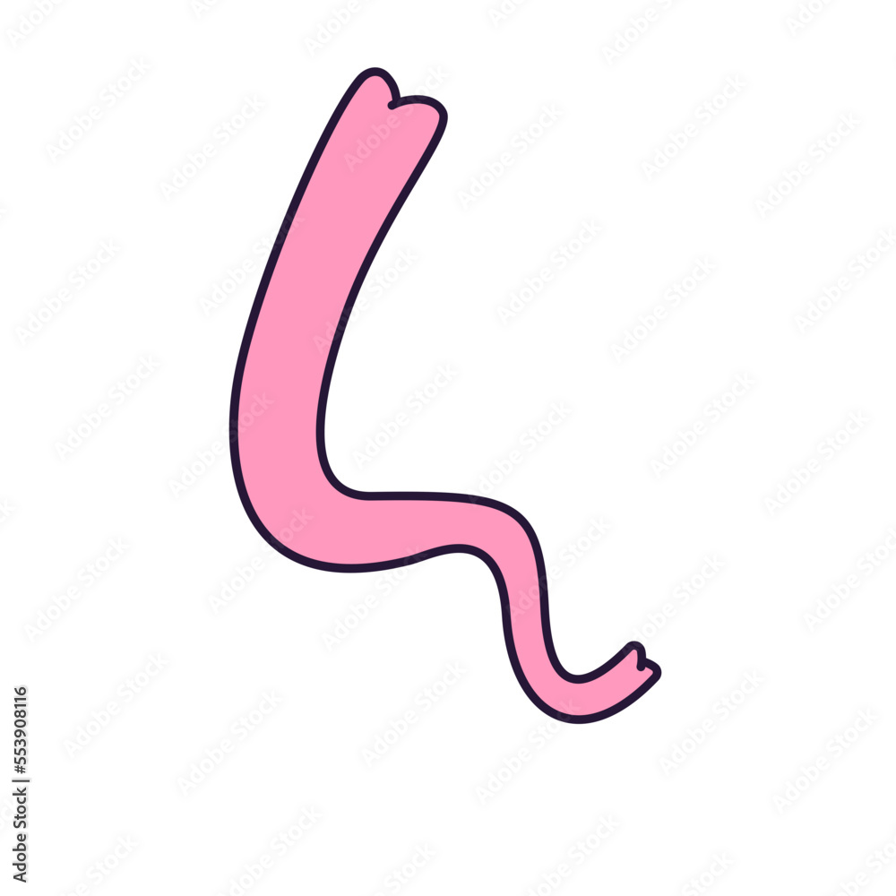 Curly ribbon decoration Curly ribbon decoration