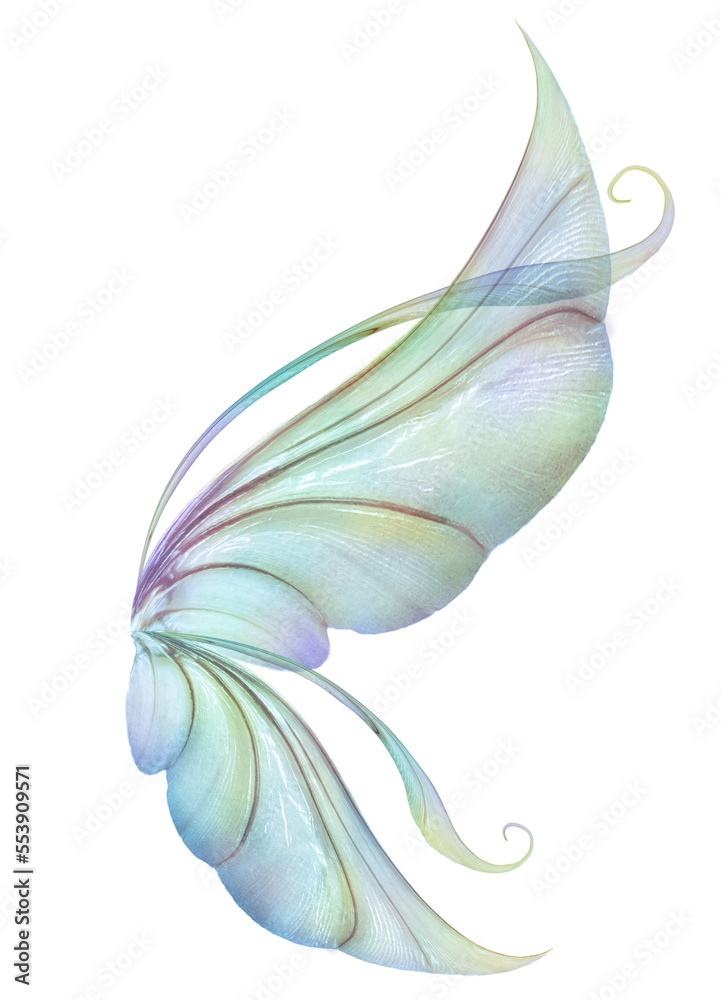 Fairy Wing Overlay 4 By ATP Textures - obrazy, fototapety, plakaty 