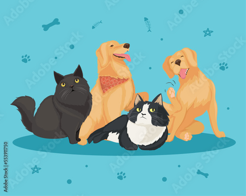 goldern retrievers and cats