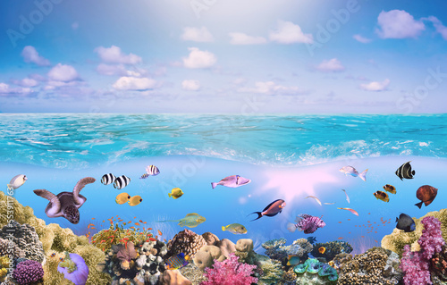 Fototapeta Naklejka Na Ścianę i Meble -  Beautifiul underwater colorful coral reefs