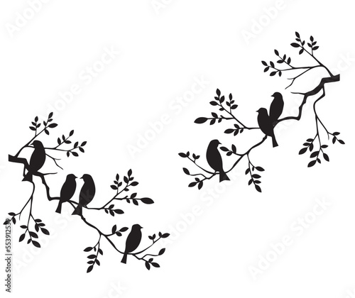 birds on a branch, Tree Branch Silhouette 