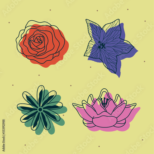 four botanic flowers icons