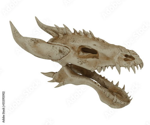 3d rendering realistic dragon head bones