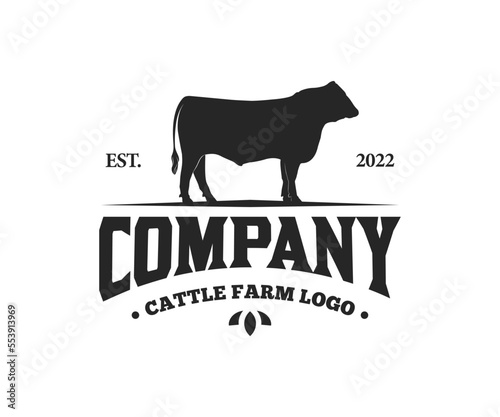 Angus cattle farm logo design. Livestock farm logo design with cow