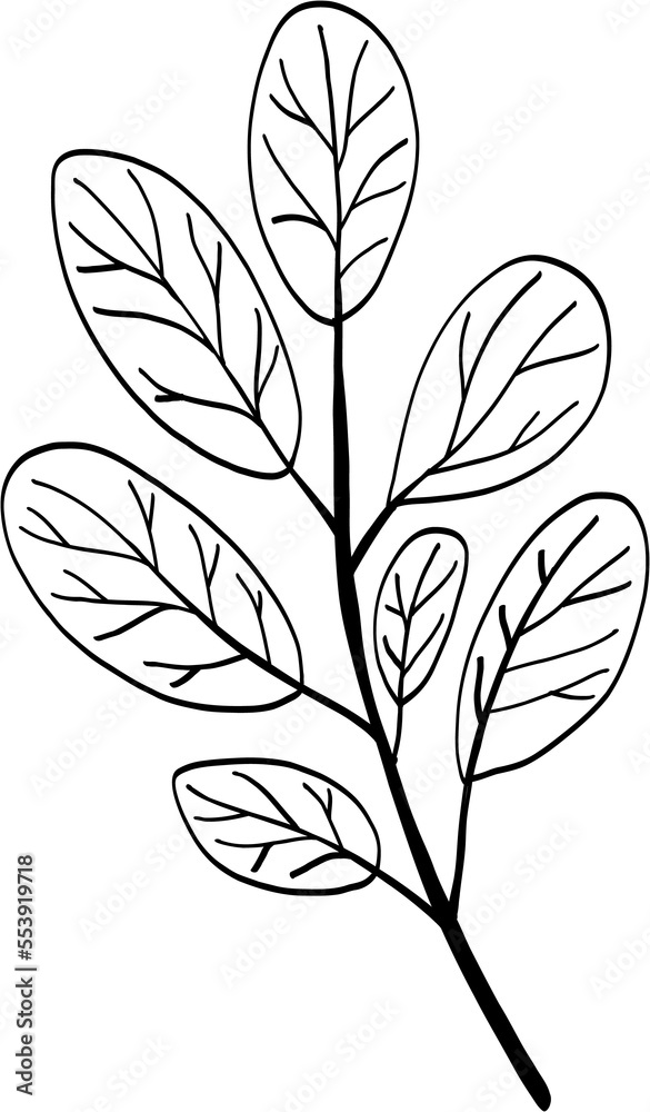 simplicity floral freehand drawing. simplicity floral freehand drawing.