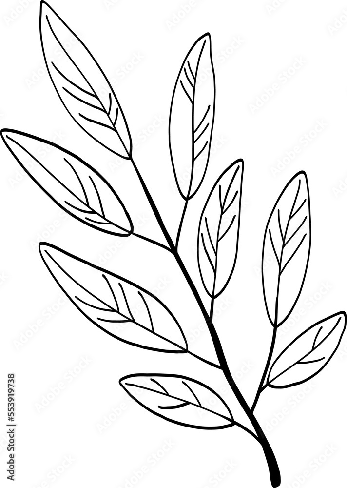 simplicity floral freehand drawing. simplicity floral freehand drawing.