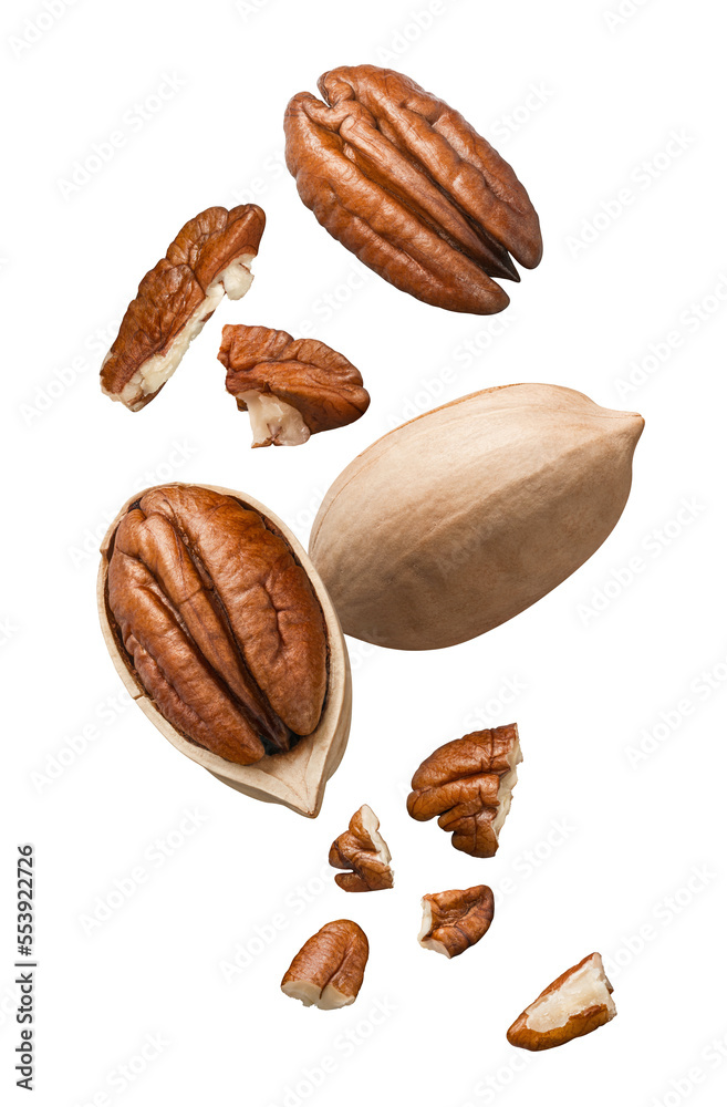 Whole, shelled and broken pecan nuts flying isolated on white background. Vertical layout - obrazy, fototapety, plakaty 