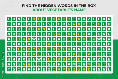 Search word, Puzzle find the hidden words, puzzle cross words Vector illustration, fun games