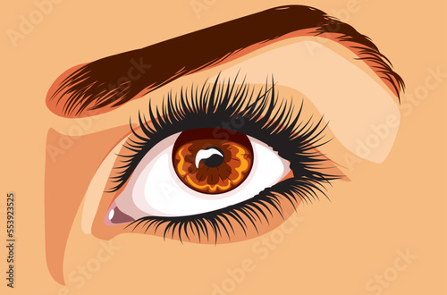 Brown female eye with long eyelashes
