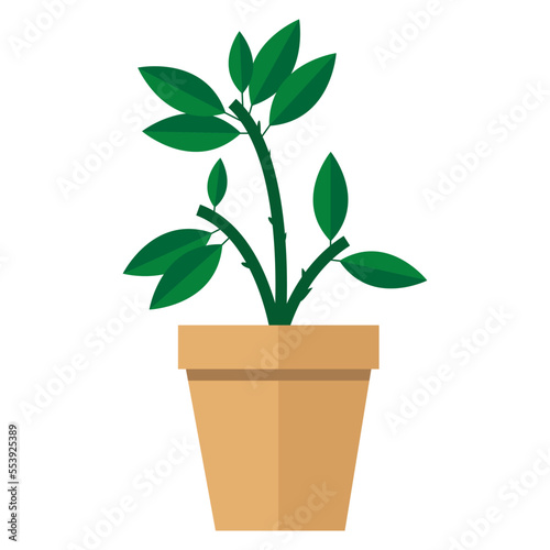 Beatuful flower in a pot asset vector illustration. suitable for editing images placed on a table or in a window.