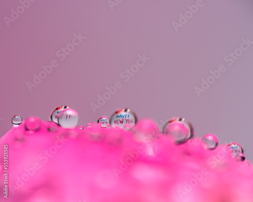 Happy new year 2023 on pink rose petal dews