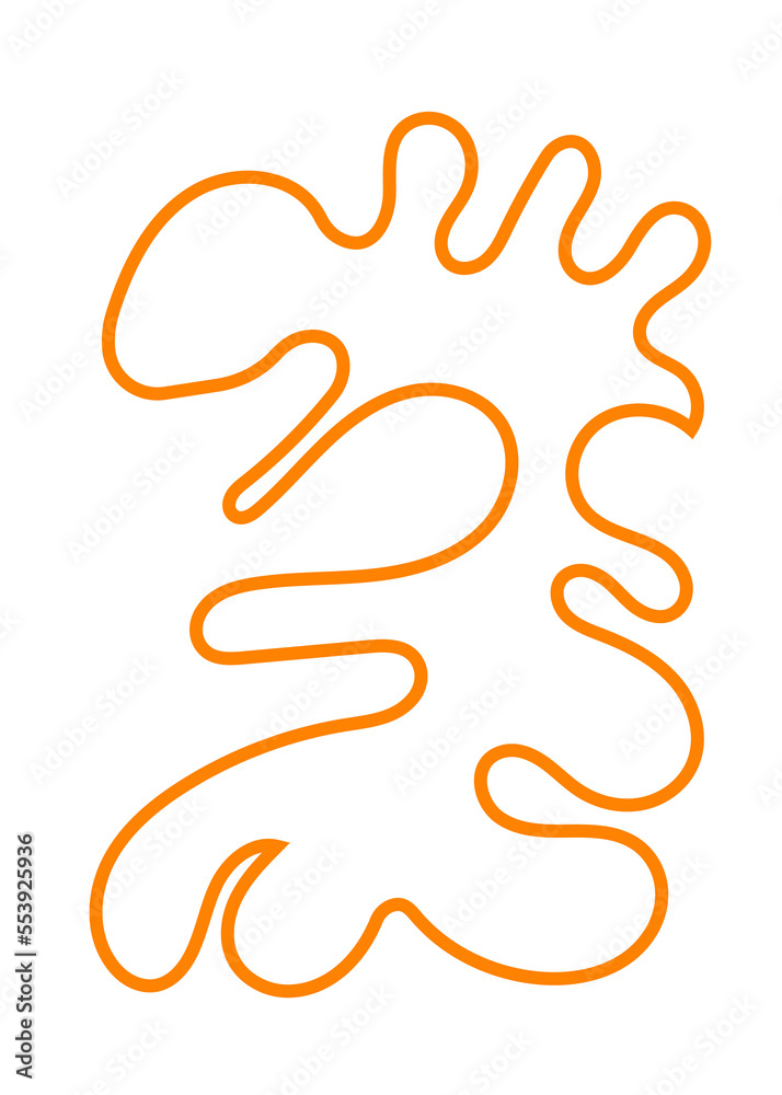 Obraz premium Abstracts Shape Orange Lines Transparent 