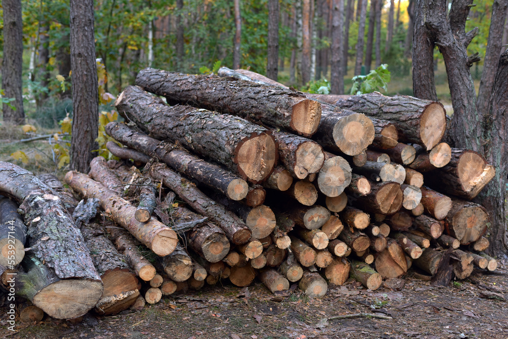 A lot of firewood lies in a heap A lot of firewood lies in a heap