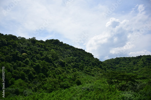 clouds over the forest