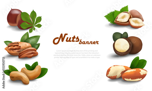 Banner with realistic nuts and space for text in the middle. Vector image