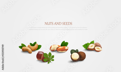 Vector horizontal banner with nuts and place for your text. The banner contains icons of the following nuts: macadamia, hazelnut, Brazil nut, chestnut and cashew