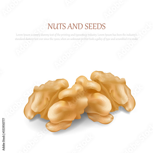 Walnut grains and fruits isolated on white background. Realistic images