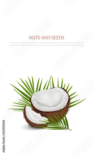 Minimalistic poster with realistic vector illustration of coconut and palm leaves on light gray background