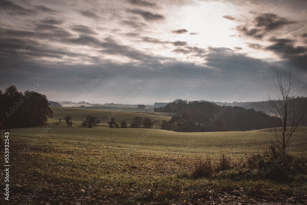 Fototapeta premium Landschaft