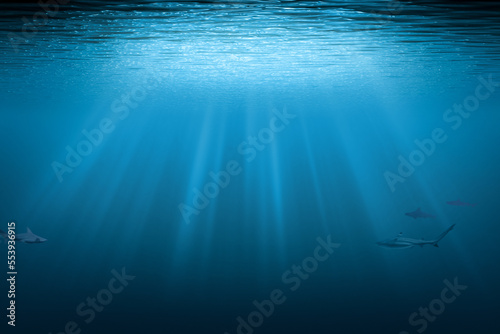 Sharks underwater background with copy space. Blue water with sunbeams.