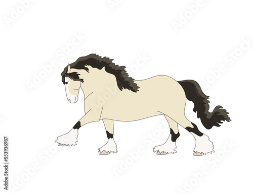Galloping Tinker stallion isolated on white background  vector illustration
