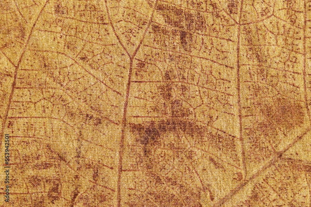 

Texture of teak leaf in yellow brown color from eco print process. Eco-printing is a technique where plants, leaves and flowers leave shapes, color and marks on white fabric background. 
 