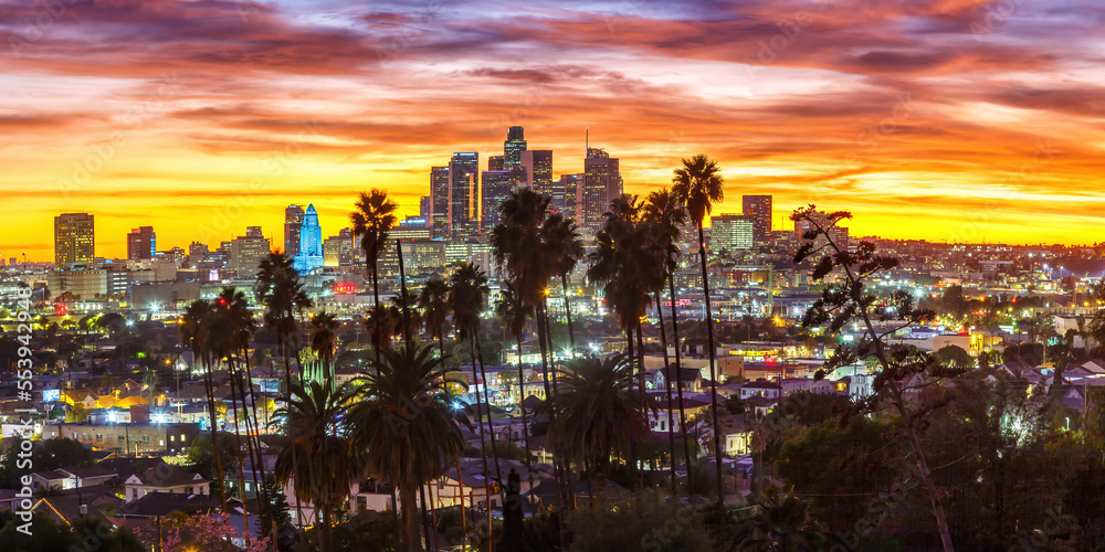 View of downtown Los Angeles skyline with palm trees at sunset panorama in California United States