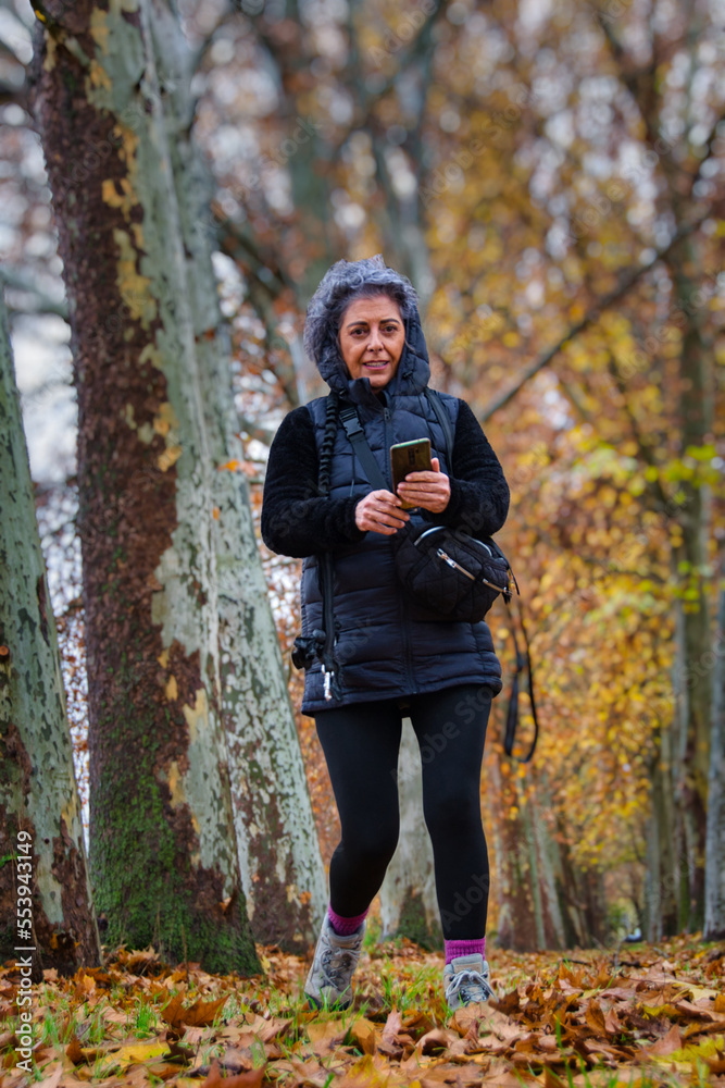 A mature smiling woman walking through an autumn forest using her mobile phone. A mature smiling woman walking through an autumn forest using her mobile phone.